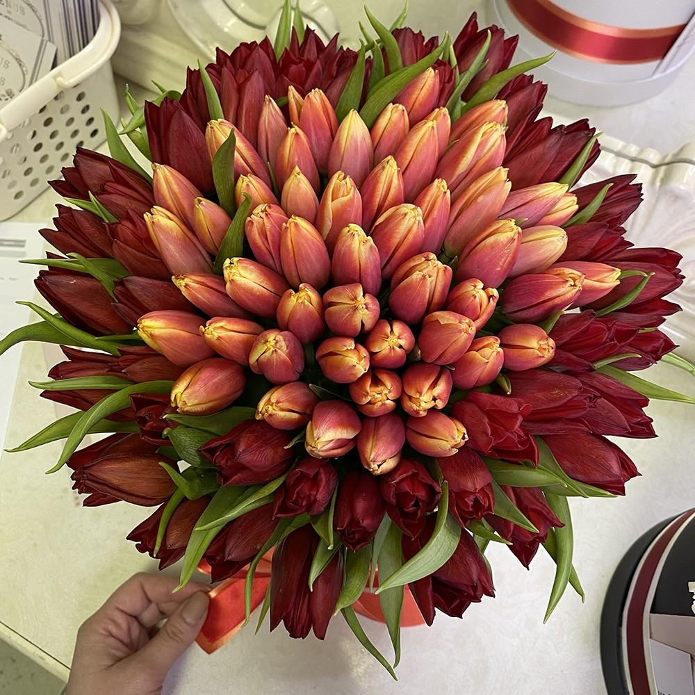 Тюльпаны "Огненная саламандра" от 101 шт.