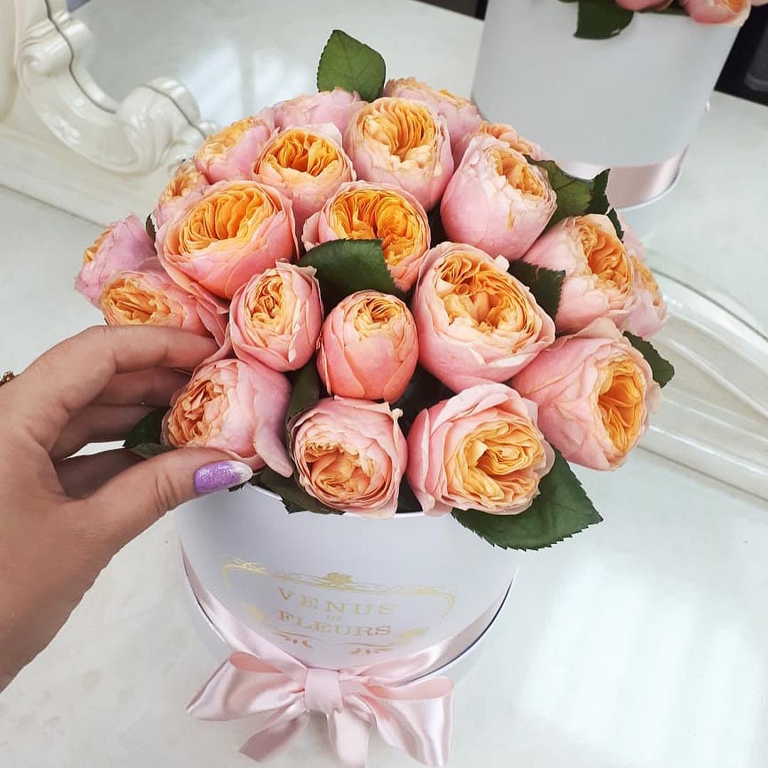 Пионовидные розы "Джульетта" от 19 шт.