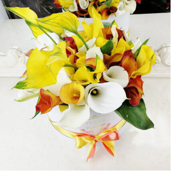 Микс из калл от 51 шт. Микс из калл от 51 шт.