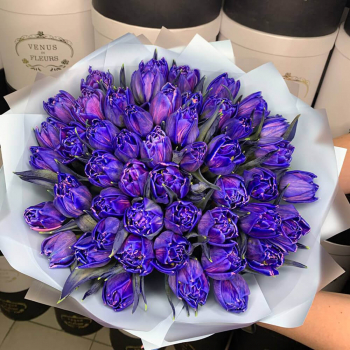 51 фиолетовый тюльпан в букете