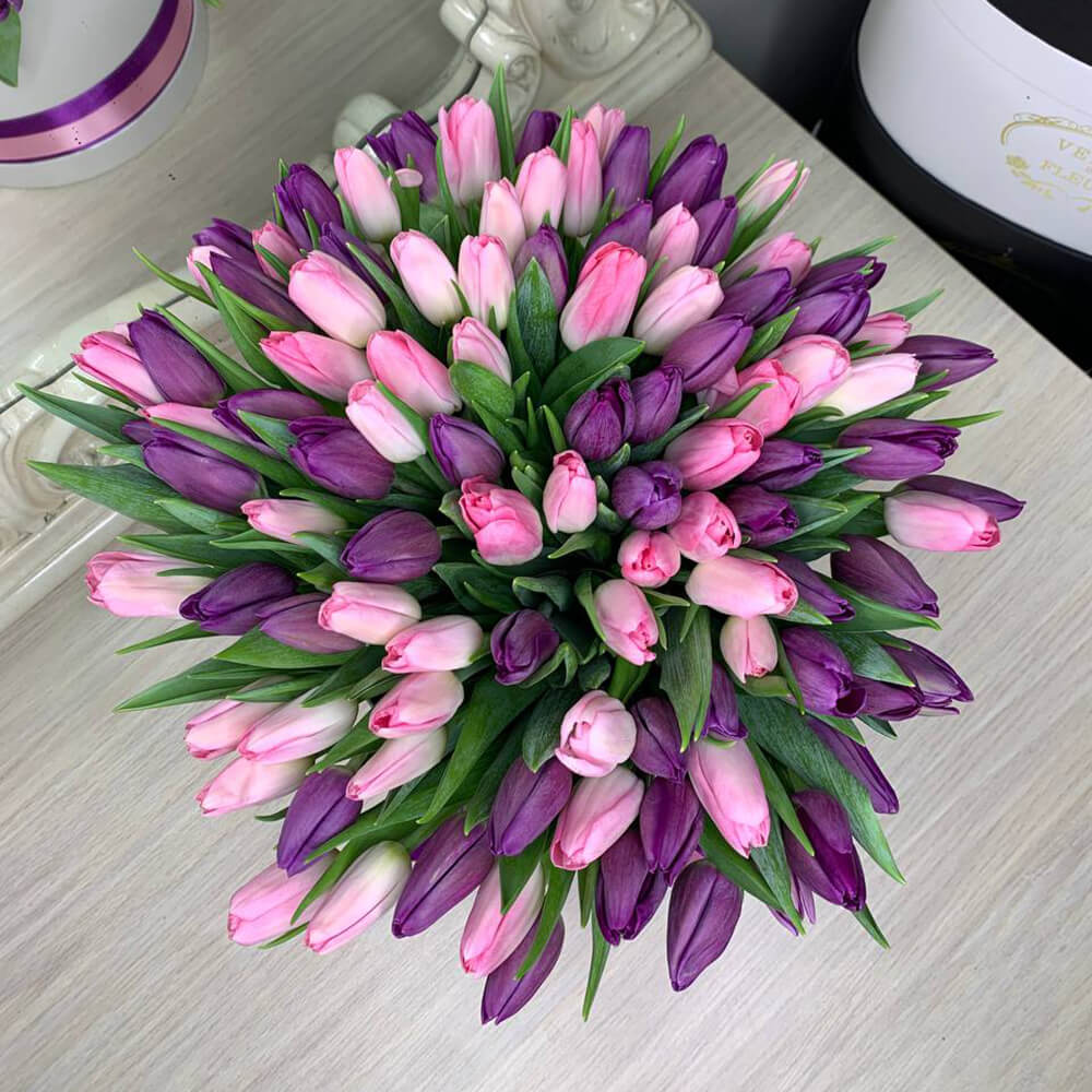Фиолетово-розовые тюльпаны в коробке от 101 шт.