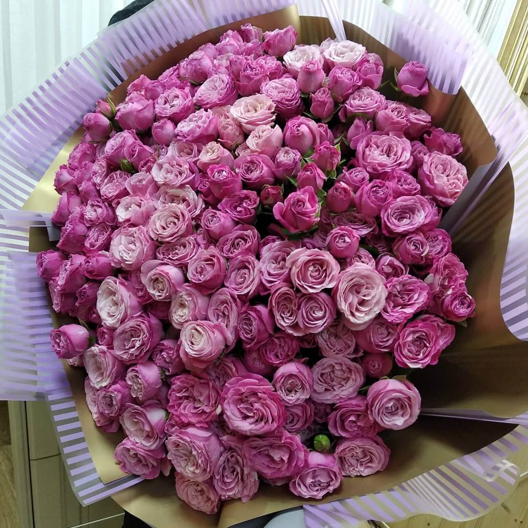 Кустовые пионовидные от 9 шт.