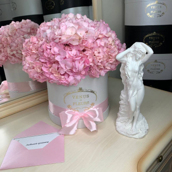 Розовые гортензии в коробке - 9 шт.