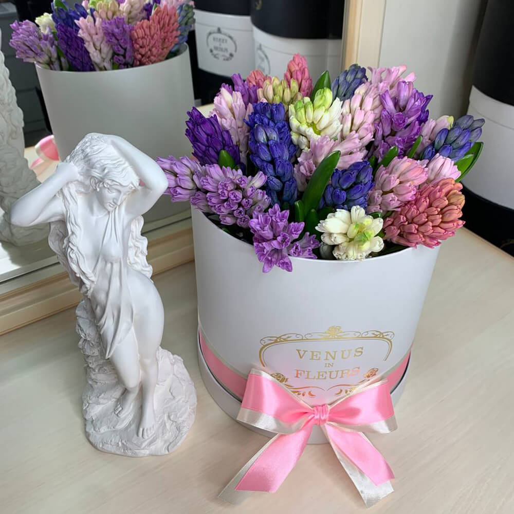 25 разноцветных гиацинт в коробке