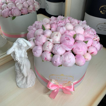 Розовые пионы в коробке от 9 шт.