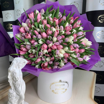 151 тюльпан в нежном миксе