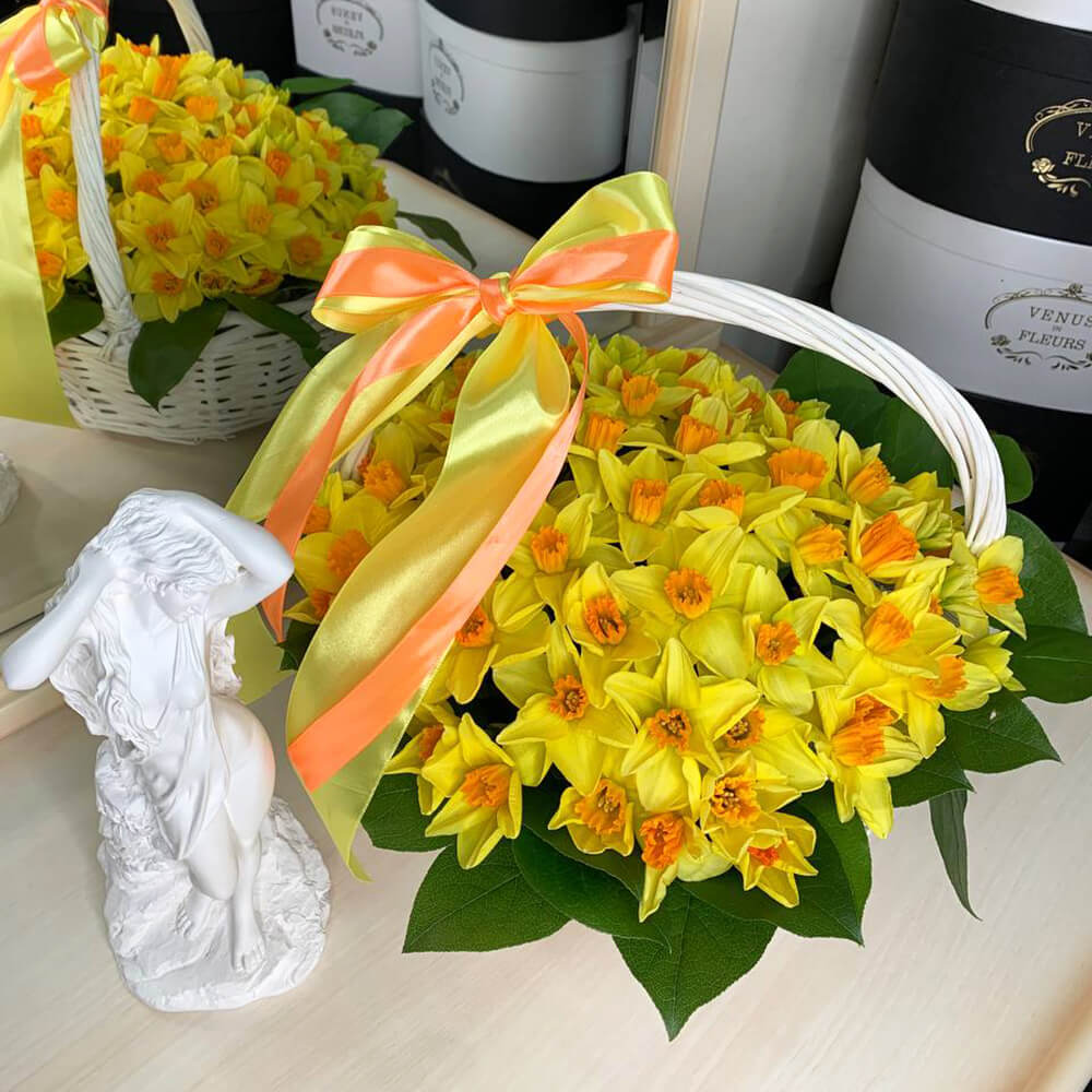 101 нарцисс в корзине