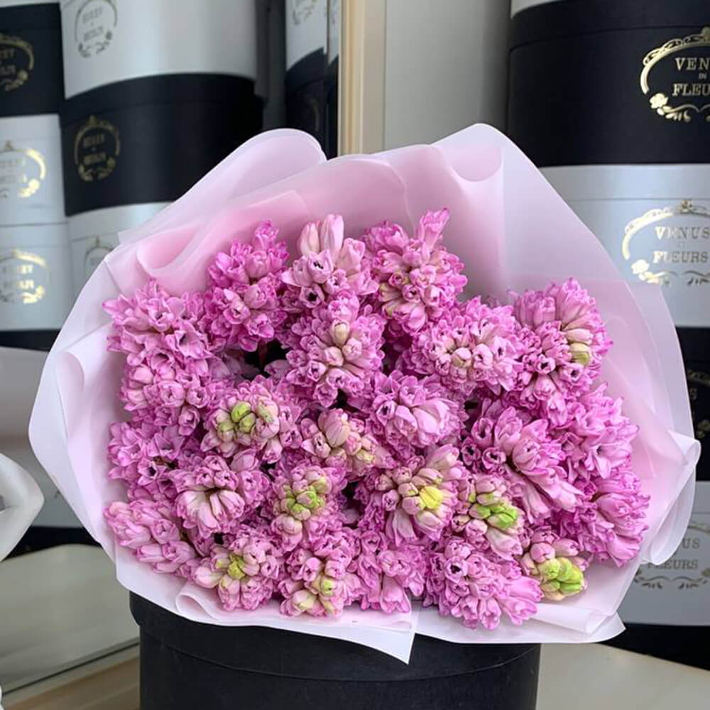 25 розовых гиацинт в букете