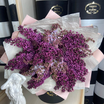 Букет из 9 веток сирени