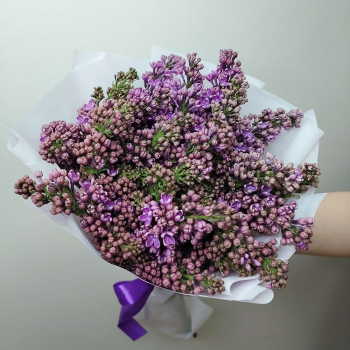Букет из 9 веток сирени