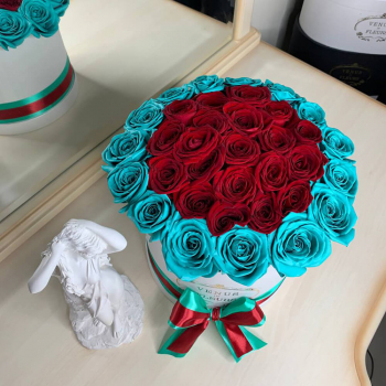 31 красная роза с бирюзовой окантовкой