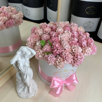 51 гиацинт в коробке