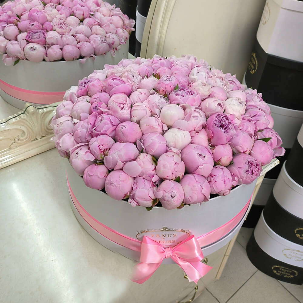 Нежные пионы в коробке от 9 шт.