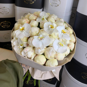 25 белых пионов с орхидеями в букете