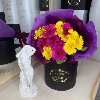 19 желто-малиновых гербер