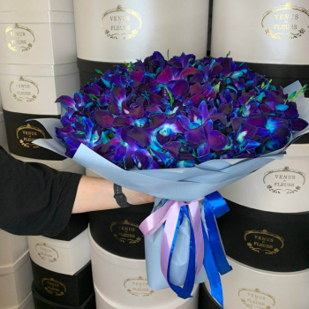 Синие орхидеи в букете от 29 шт.