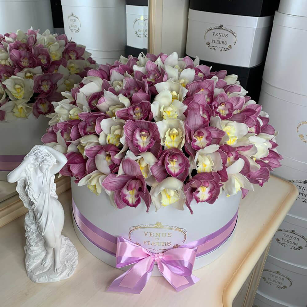 101 бело-розовая орхидея в коробке