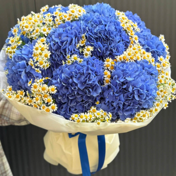 Ромашки с гортензиями в букете - 33 шт.