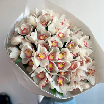 Белые орхидеи в букете - 25 шт.