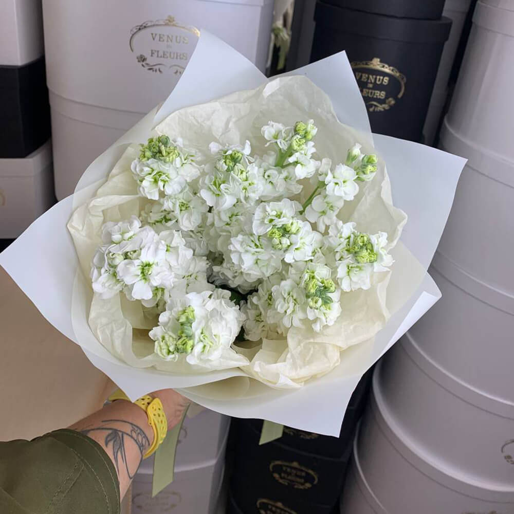 9 белых маттиол в букете