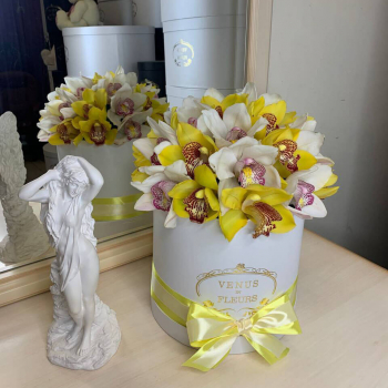 Бело-желтые орхидеи в коробке от 25 шт.