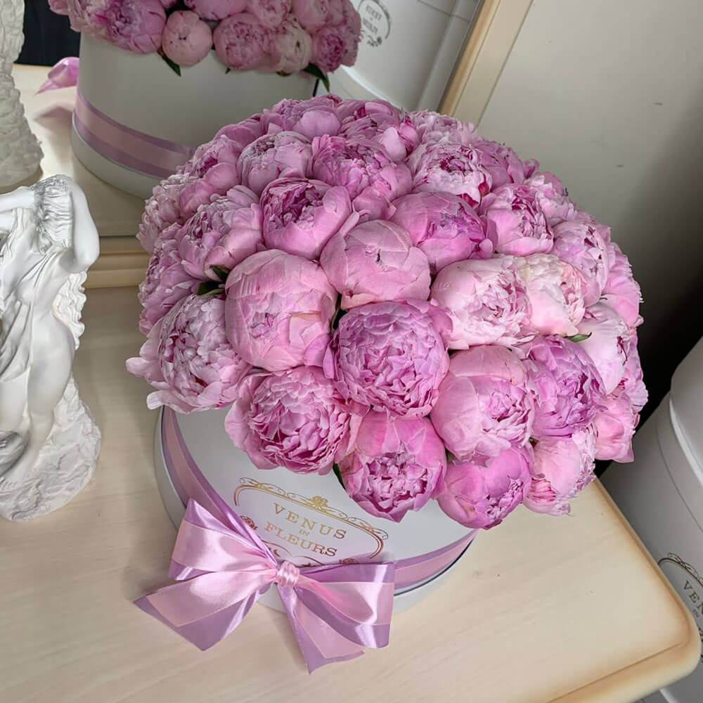 51 розовый пион в коробке