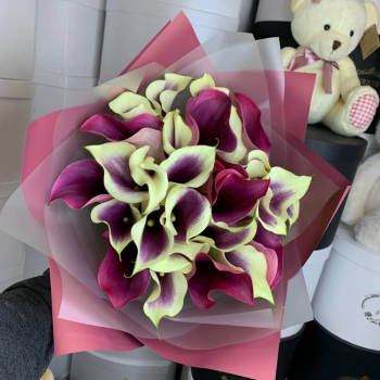 Необыкновенные каллы в букете от 19 шт.