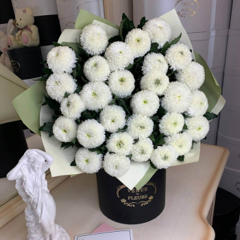 Белые шарообразные хризантемы от 9 шт.