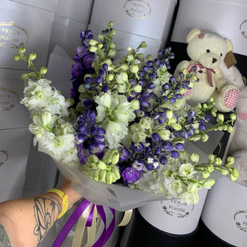 29 разноцветных дельфиниумов в букете 29 разноцветных дельфиниумов в букете