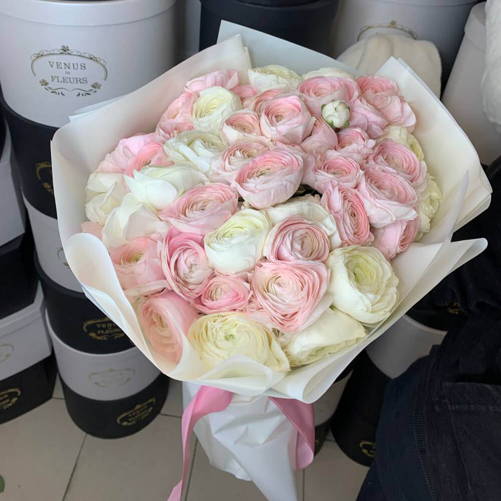 51 бело-розовые ранункулюсы в букете
