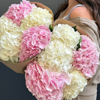 Нежный микс из гортензий - 5 шт.