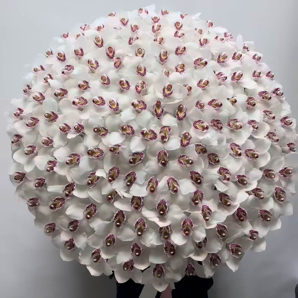 Большой букет из орхидей - 115 шт.