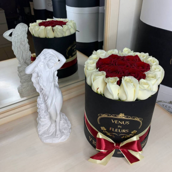 19 красных роз с окантовкой