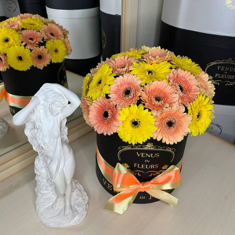 Герберы персиковые микс от 19 шт.