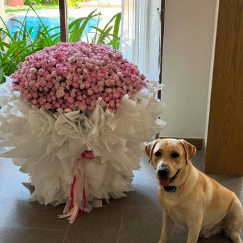 101 розовая кустовая роза в пышном букете