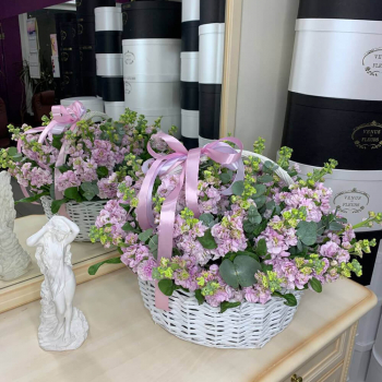 Розовые маттиолы в корзине - 51 шт.