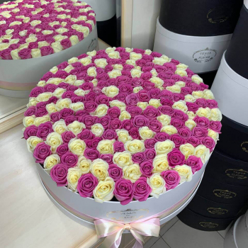 201 бело-розовая роза в коробке