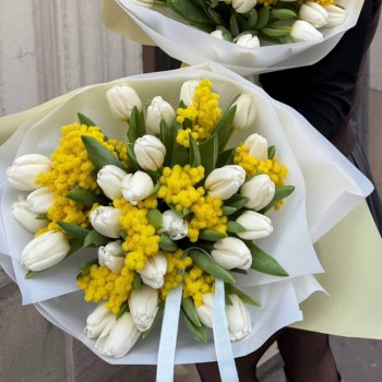 Мимозы с белыми тюльпанами - 35 шт.