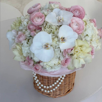 Вайт Охара в миксе - 55 шт.