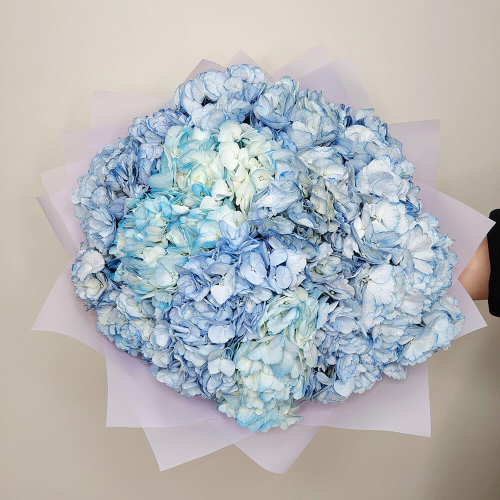 Бело-голубые гортензии в букете - 9 шт.