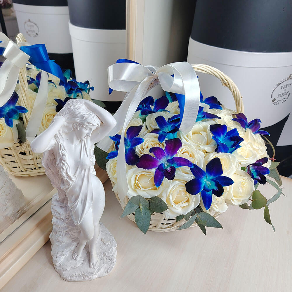 Белые розы с синими орхидеями в корзине - 35 шт.