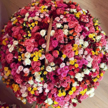 Микс из кустовых роз в корзине от 81 шт.