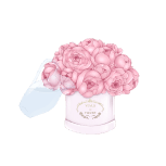 Уход за цветами