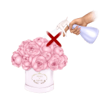 Уход за цветами