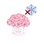 Уход за цветами